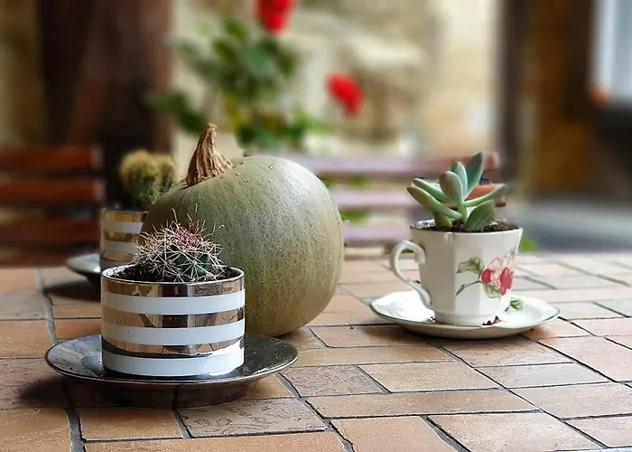 Viviendas Rurales Costa De Bolao *